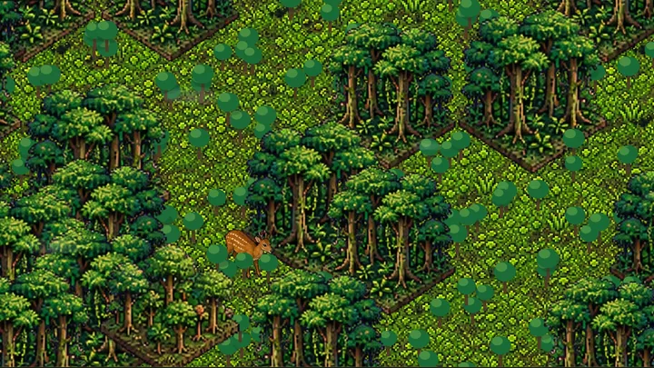 Rainforest