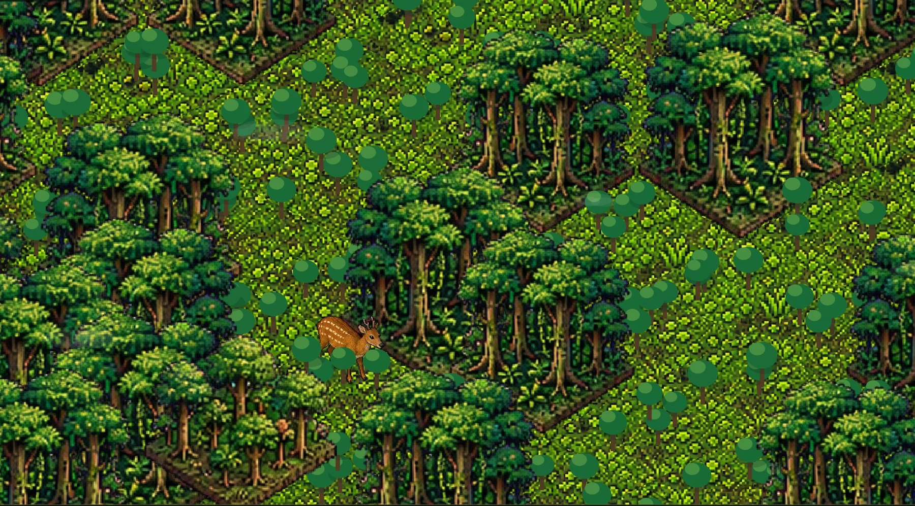 Dense SOLESIDO rainforest with layered trees, wildlife and wetlands